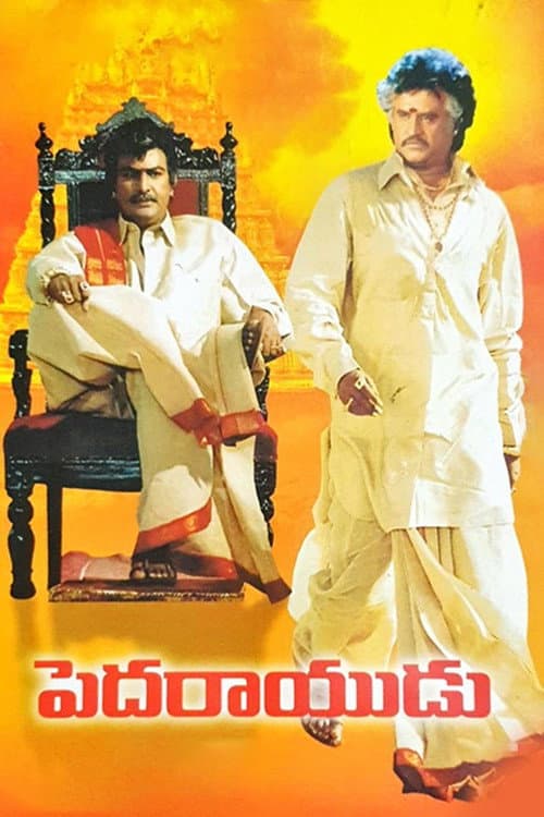 పెదరాయుడు afişi
