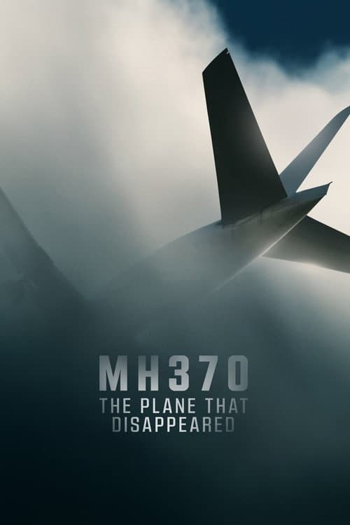 MH370: Kaybolan Uçak afişi
