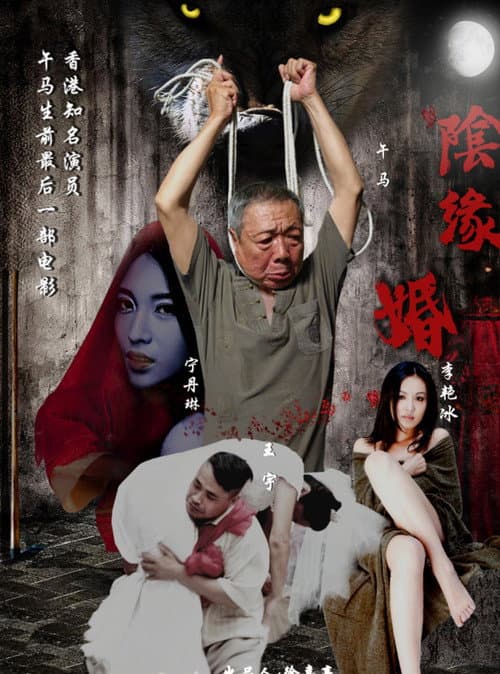 阴缘婚 afişi