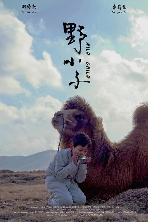 野小子 afişi