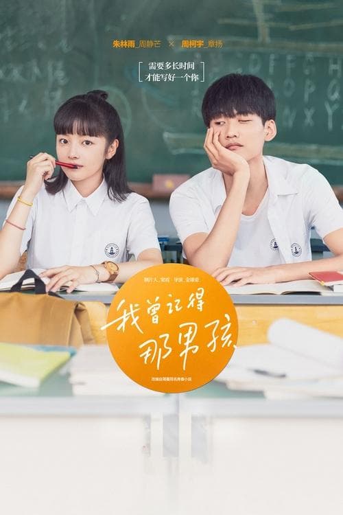 我曾记得那男孩 afişi