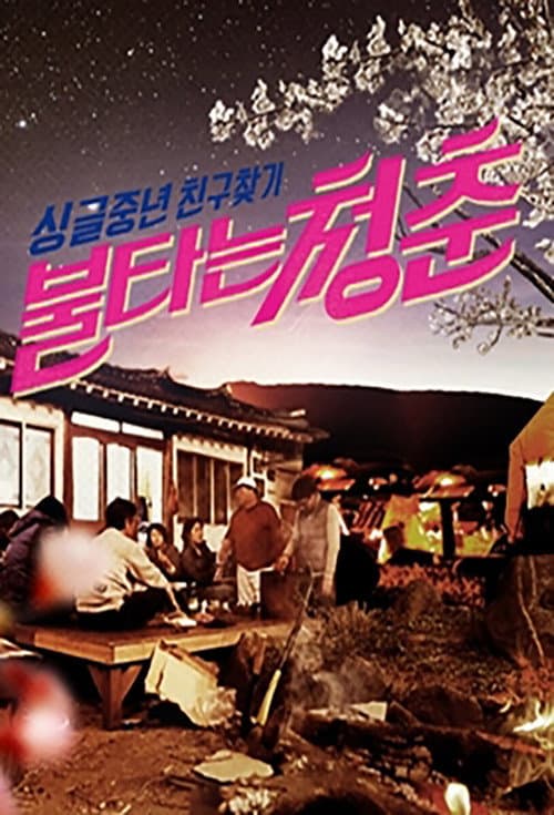 불타는 청춘 afişi