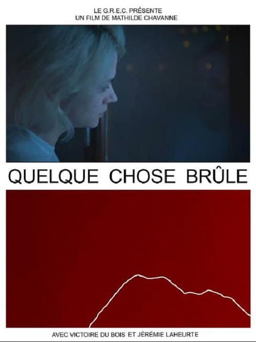 Quelque chose brûle afişi