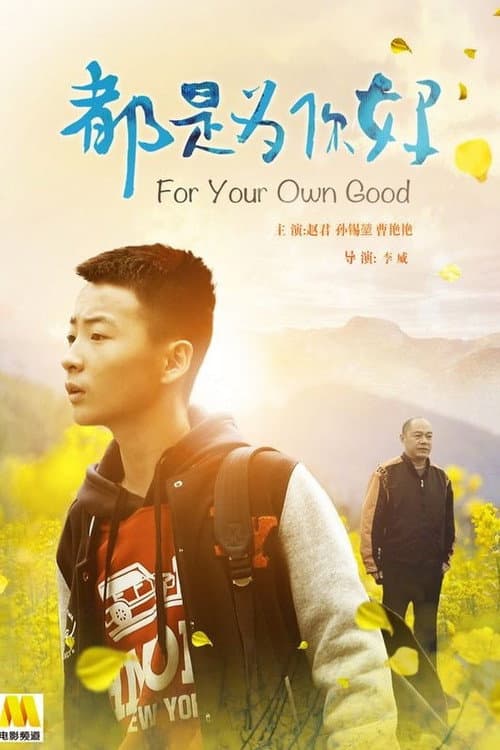 都是为你好 afişi
