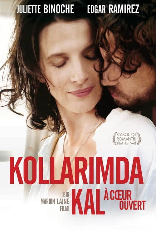 Kollarımda Kal afişi