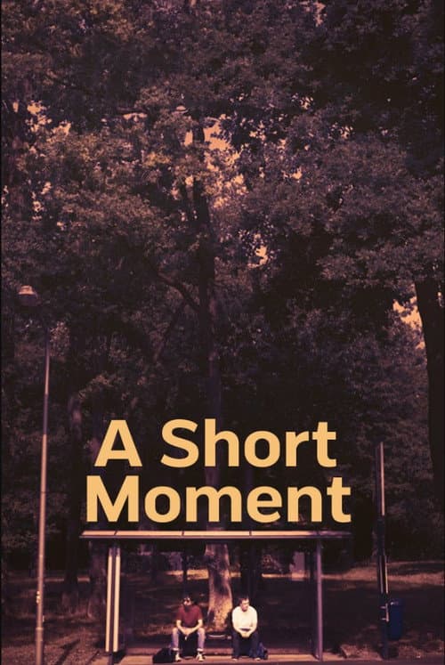 A Short Moment afişi
