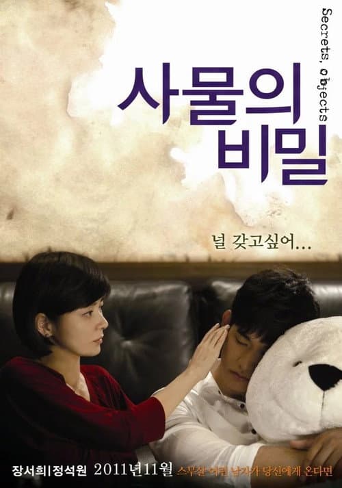 사물의 비밀 afişi
