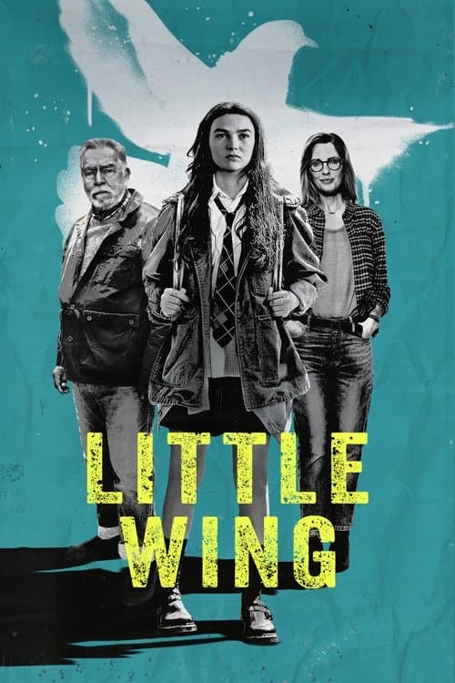 Little Wing afişi