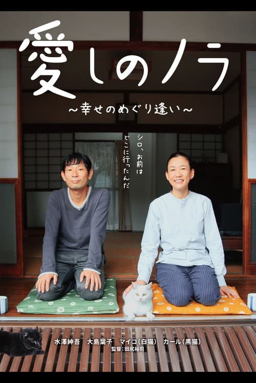 愛しのノラ　幸せのめぐり逢い afişi