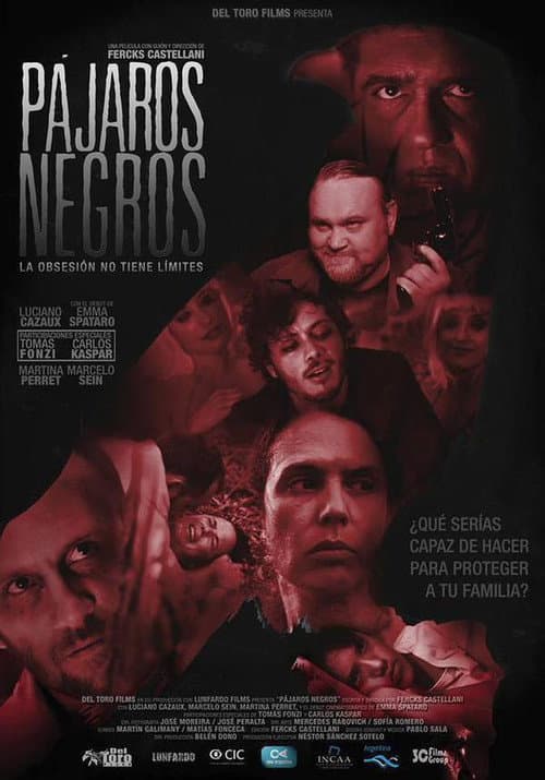 Pájaros negros afişi