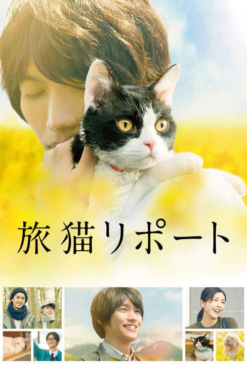 旅猫リポート afişi