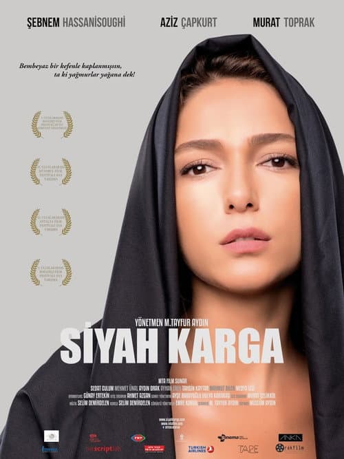 Siyah Karga afişi