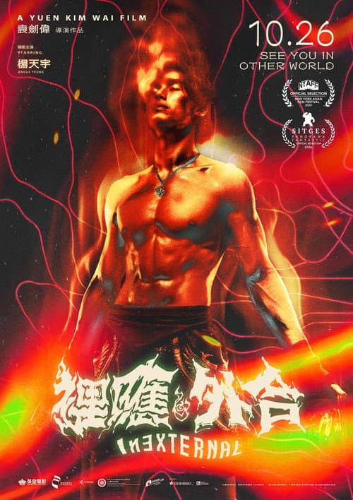 裡應外合 afişi