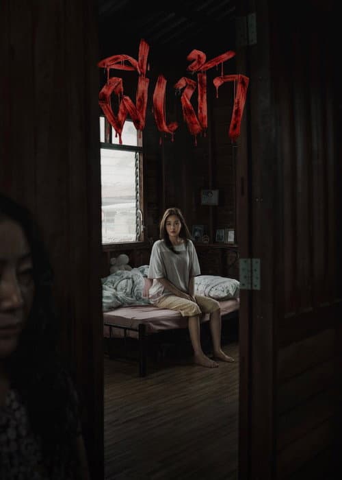 ผีเข้า afişi