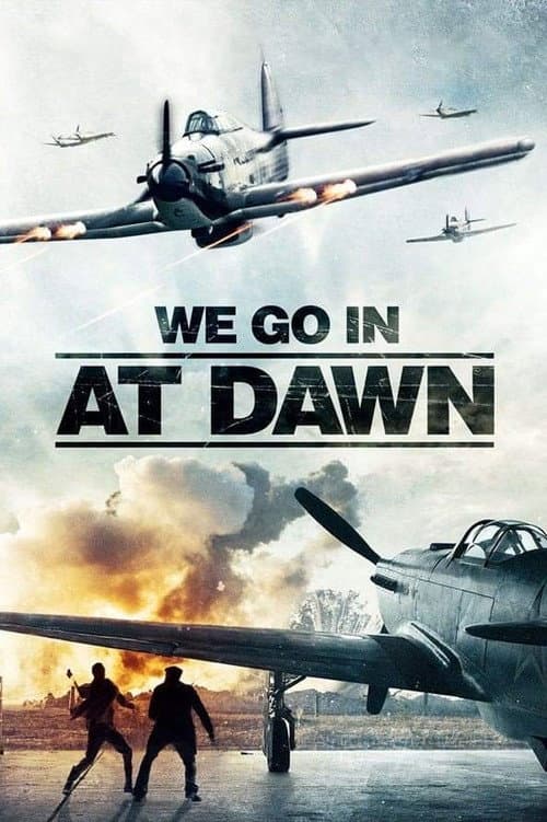 We Go In at Dawn afişi