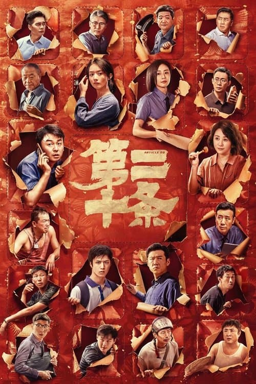 第二十条 afişi