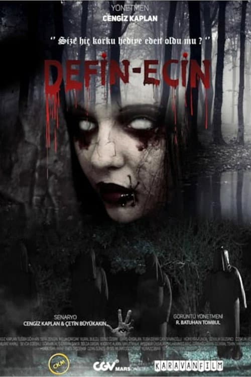 Defin-Ecin Zulman afişi