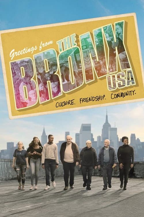 The Bronx, USA afişi