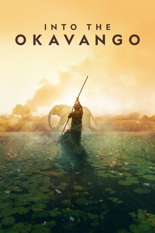 Kritik Görev: Okavango afişi