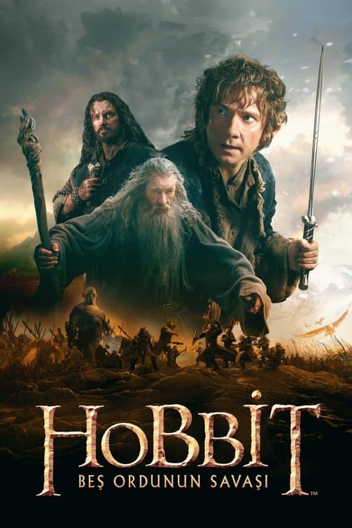 Hobbit: Beş Ordunun Savaşı afişi