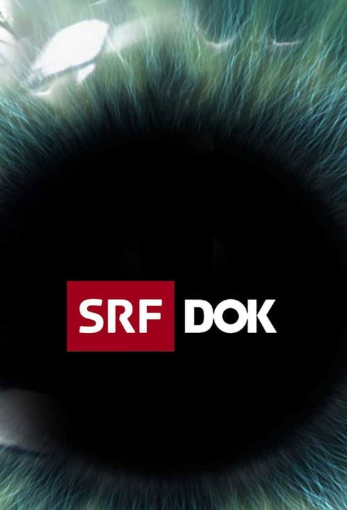 SRF DOK afişi