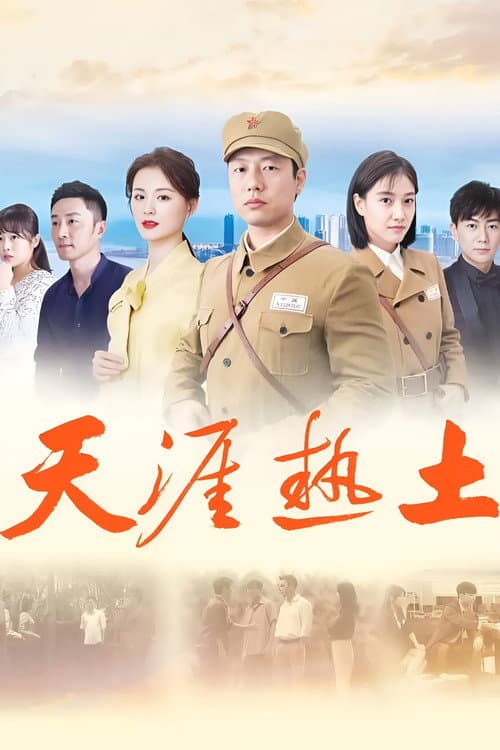 天涯热土 afişi