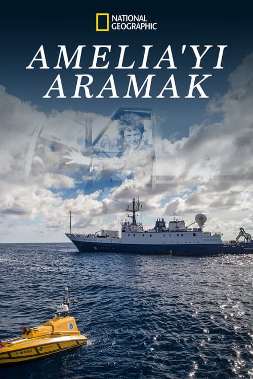 Amelia'yı Aramak afişi