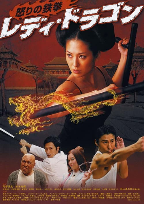 レディ・ドラゴン　怒りの鉄拳 afişi