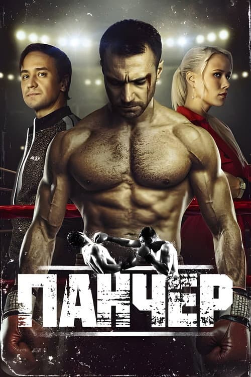 Панчер afişi