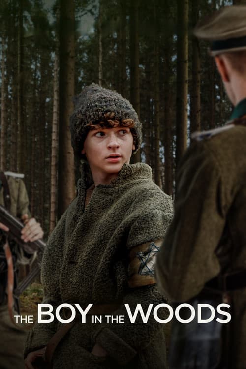 The Boy in the Woods afişi