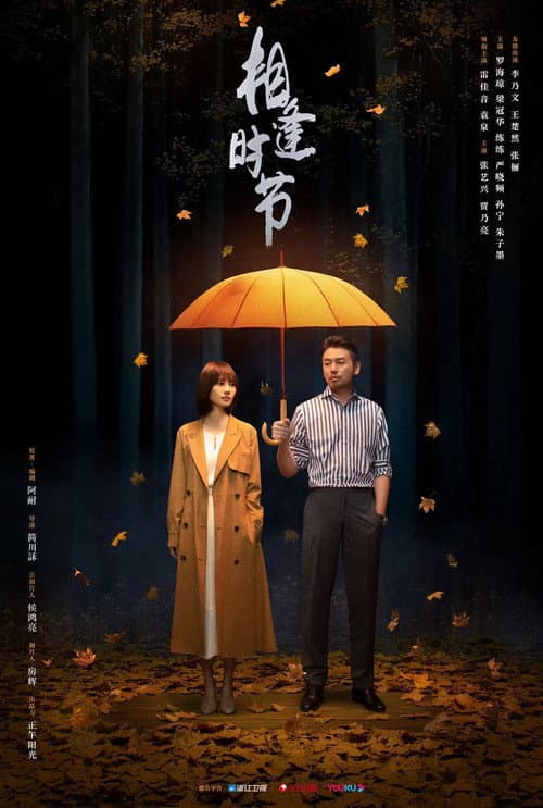相逢时节 afişi