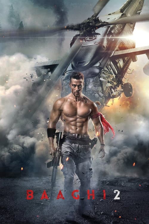 Baaghi 2 afişi