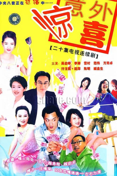 将装修进行到底 afişi