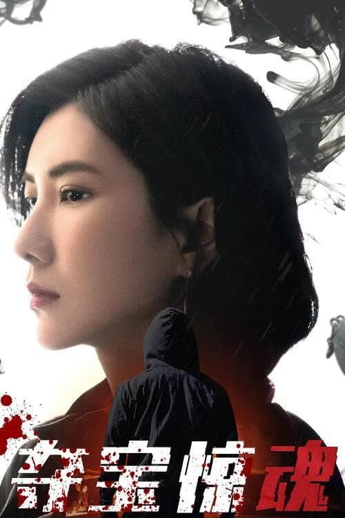 夺宝惊魂 afişi