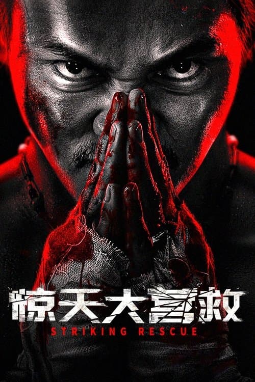 惊天大营救 afişi