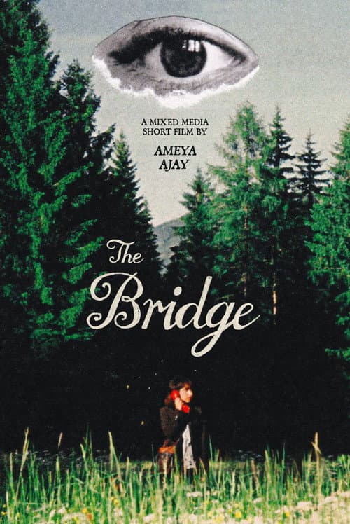 The Bridge afişi