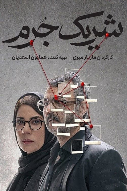 شریک جرم afişi