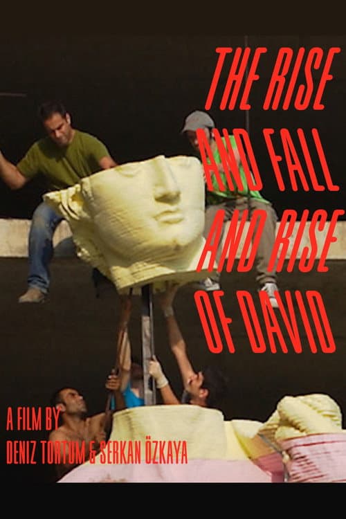 The Rise and Fall and Rise of David afişi