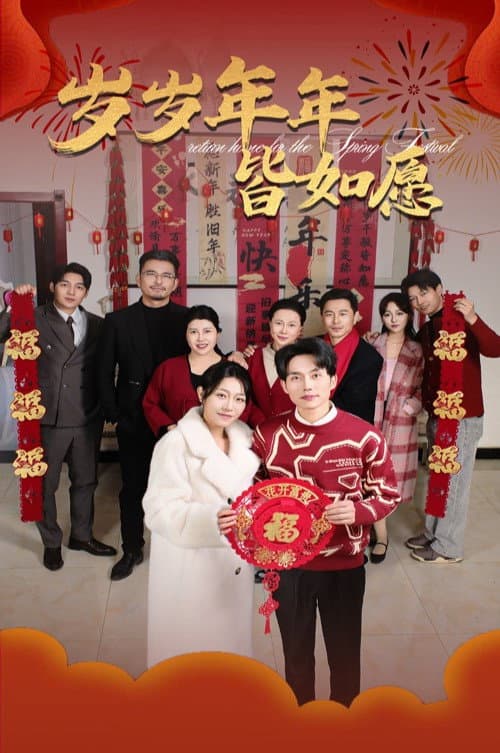 岁岁年年皆如愿 afişi