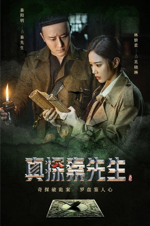 真探秦先生 afişi