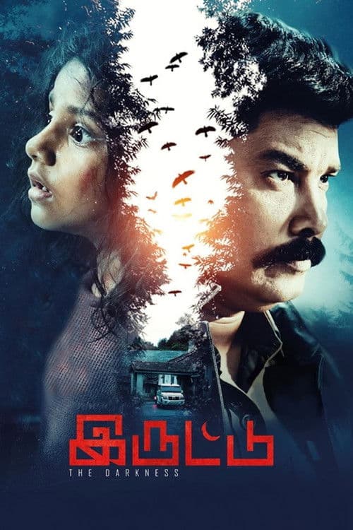 இருட்டு afişi