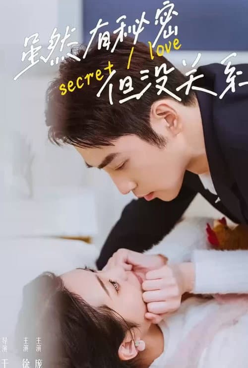 虽然有秘密但没关系 afişi