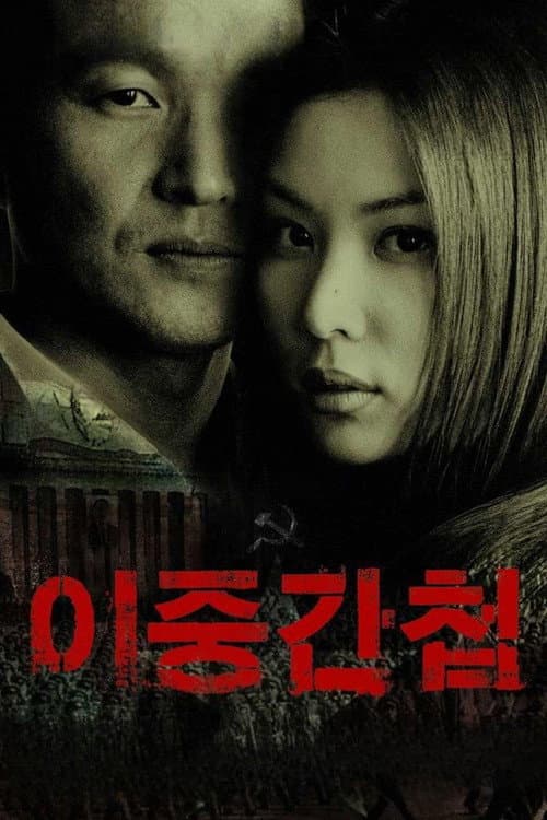 이중간첩 afişi