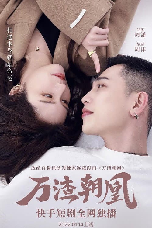 万渣朝凰 afişi