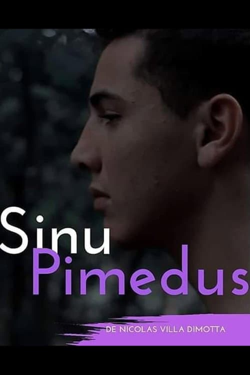 Sinu Pimedus afişi