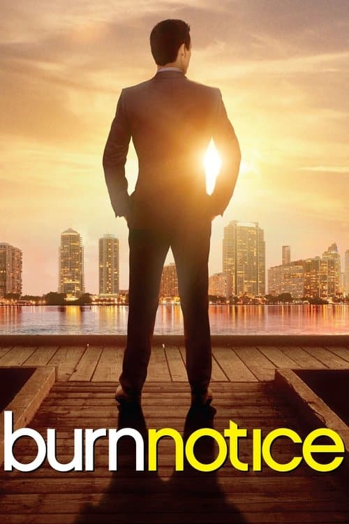 Burn Notice afişi