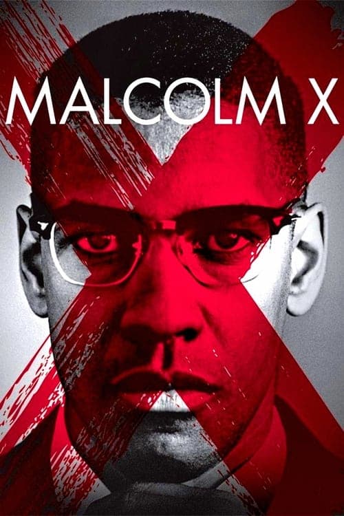 Malcolm X afişi