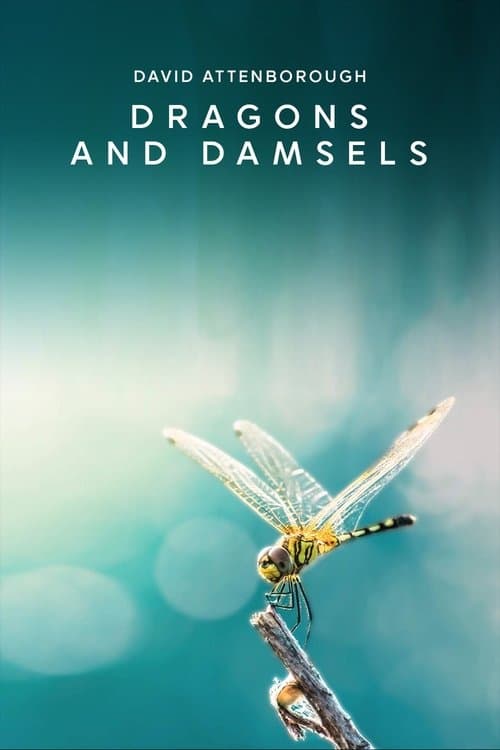 Dragons and Damsels afişi