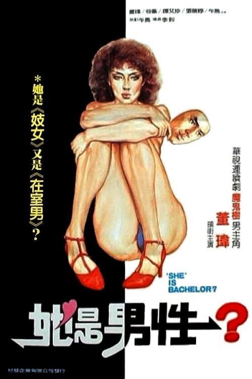 失声画眉 afişi