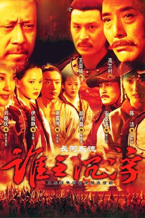 长河东流 afişi